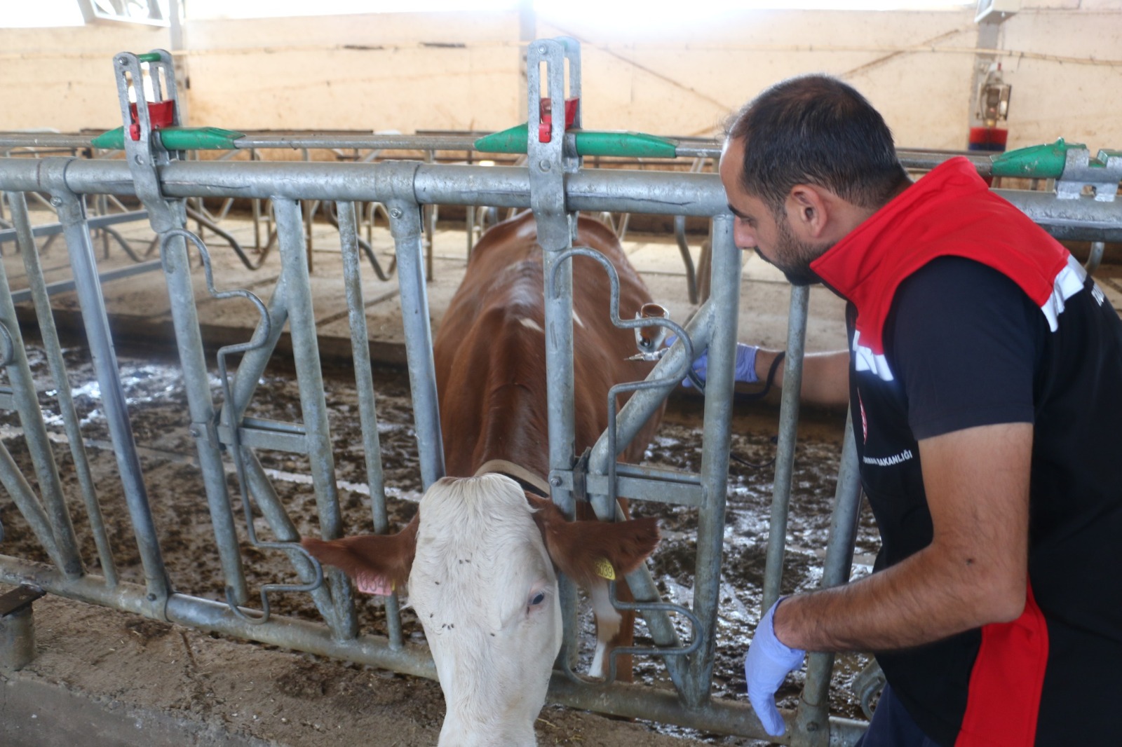 Erzincan’da ekipler teyakkuza geçirildi