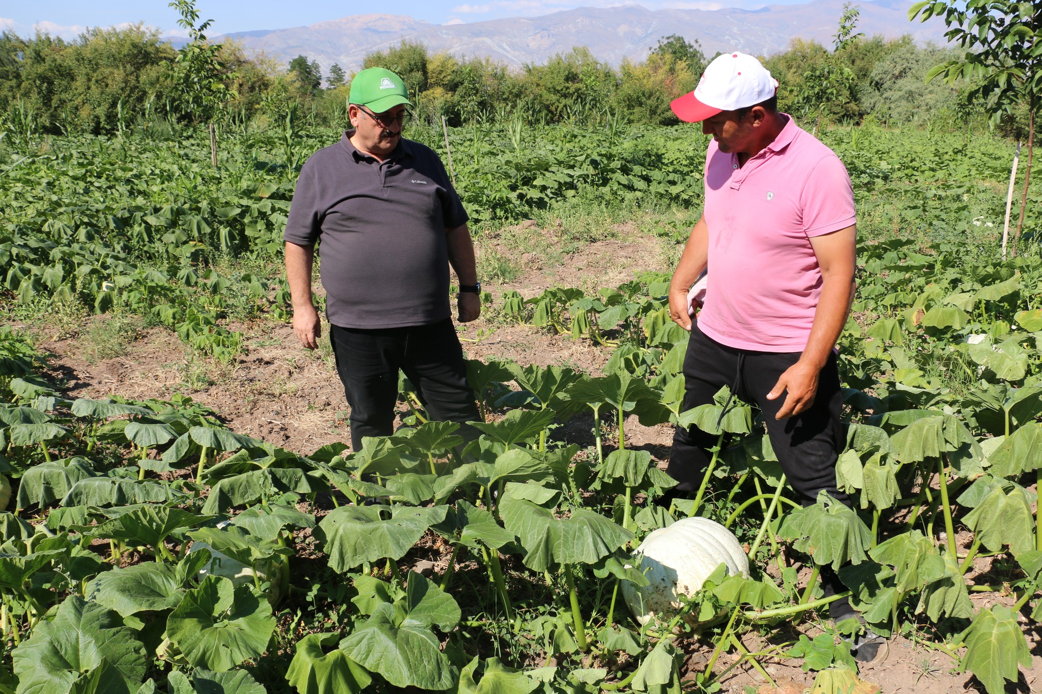 Emekli Öğretmenler Tarıma Renk Katıyor