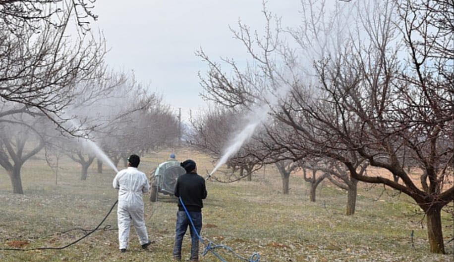 KAYISI ÜRETİCİLERİ DİKKAT!