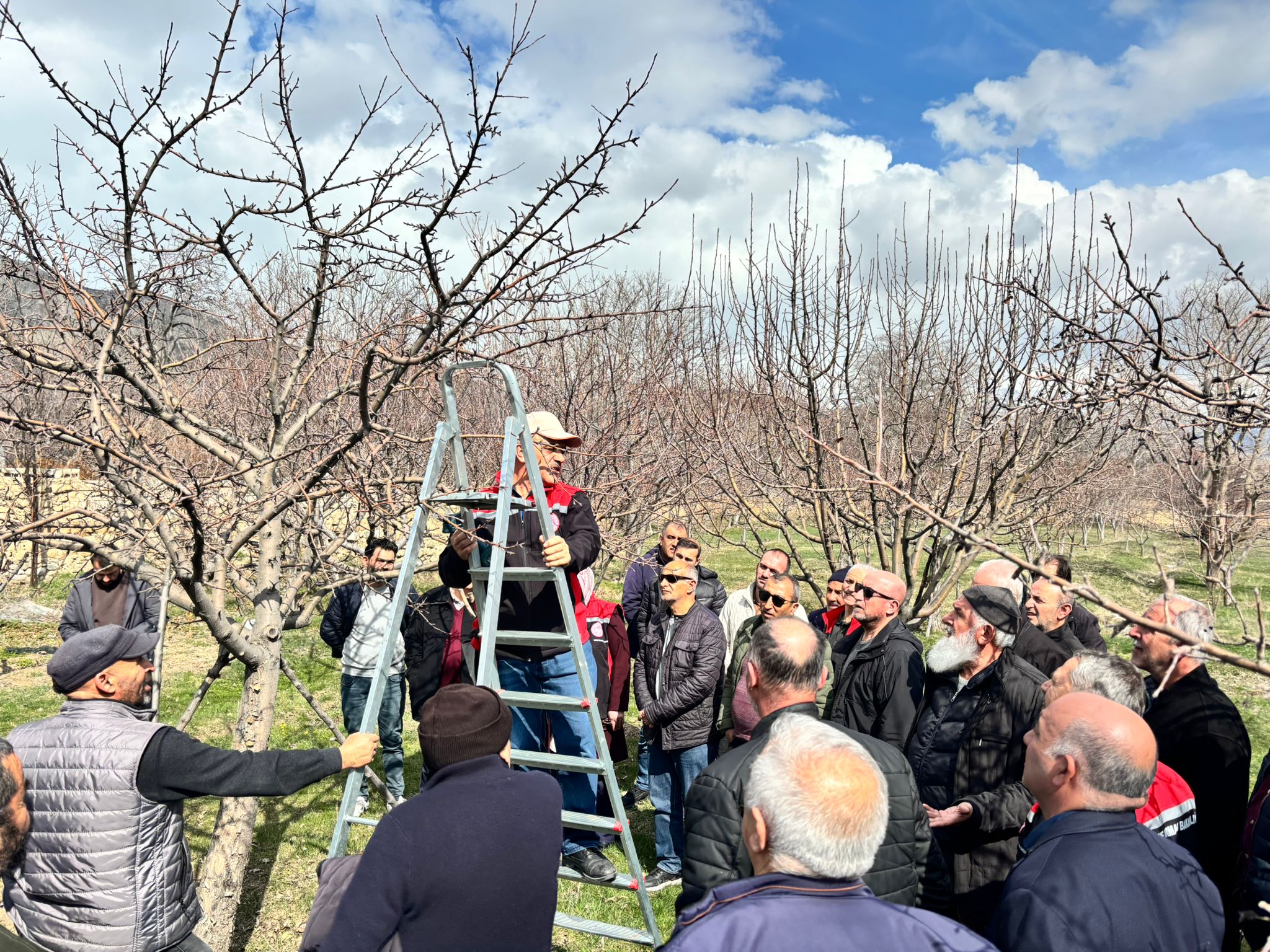 Erzincan’da Üreticiye Uygulamalı Budama Eğitimi