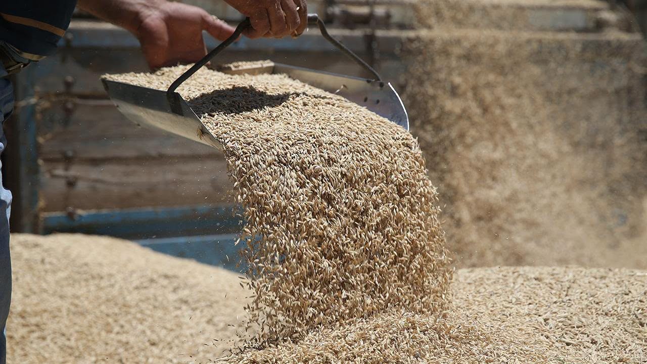 Erzincan’da Hububat Alım Noktaları Açıklandı