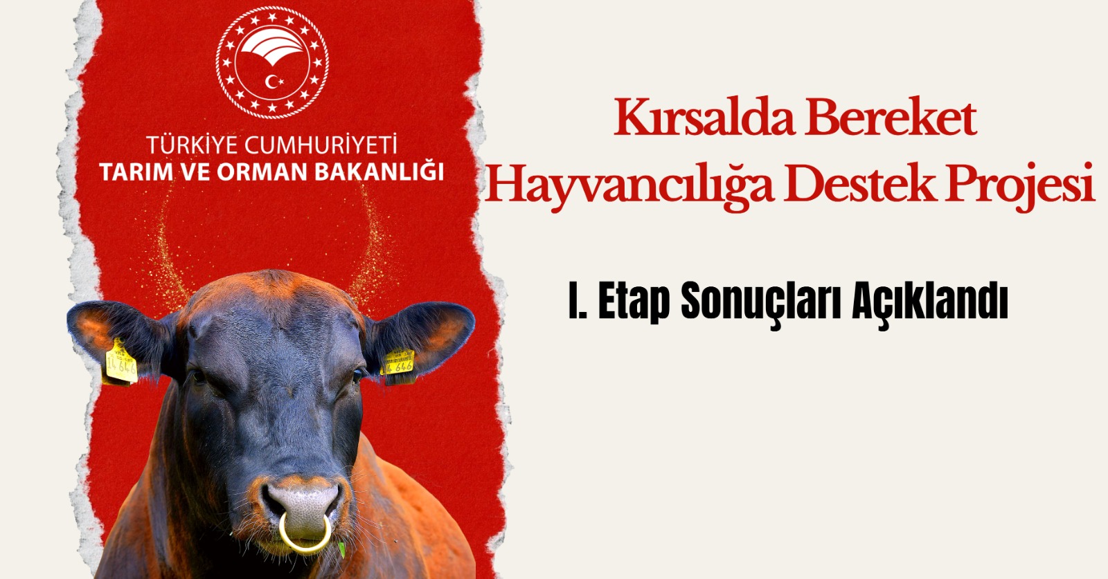 Kırsalda Bereket Projesi Erzincan Sonuçları