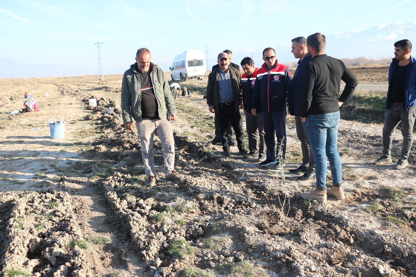 Erzincan’da 111 bin tuz çalısı toprakla buluşturuldu