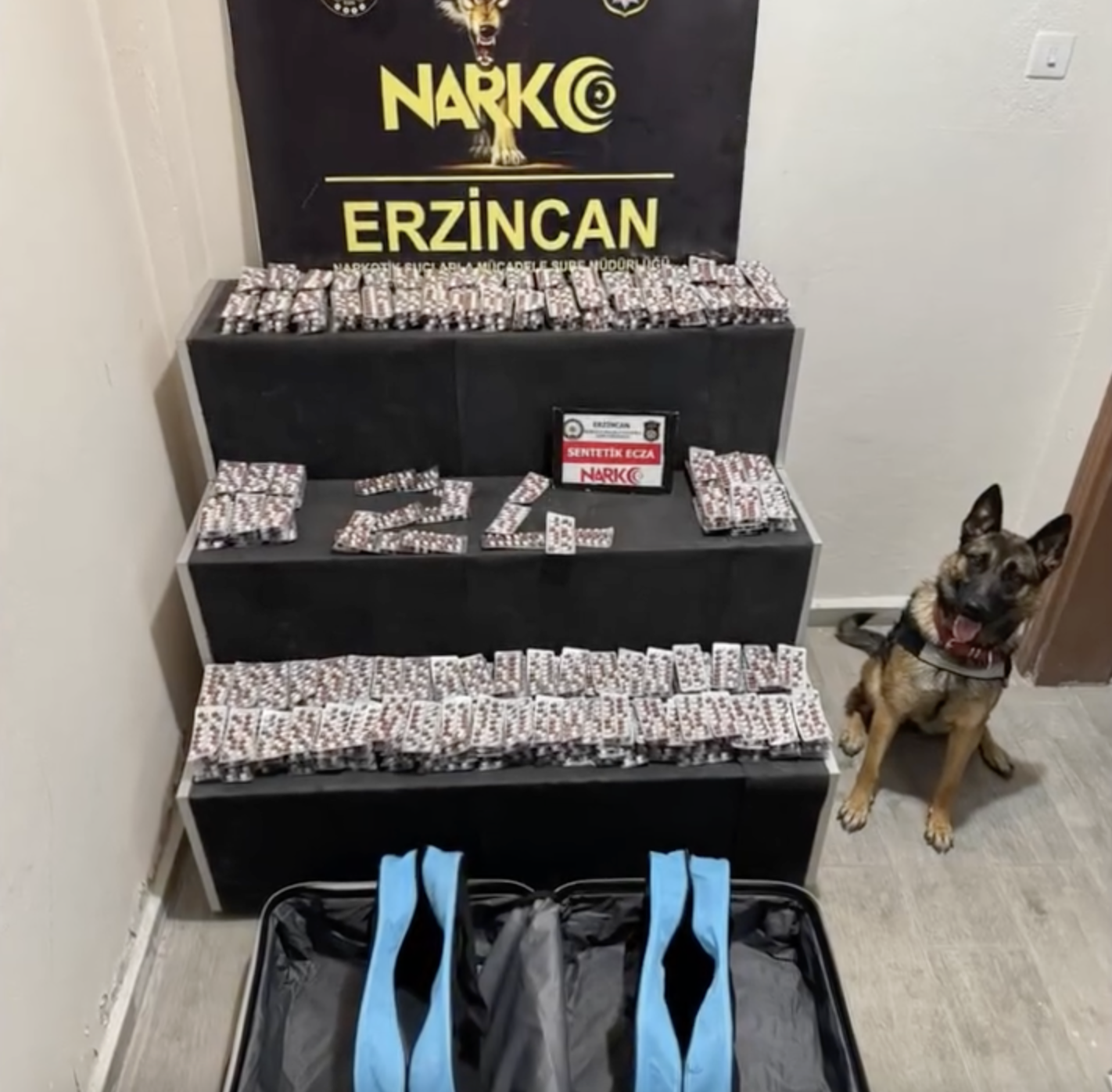 6 bin 335 adet sentetik ecza malzemesi ele geçirildi, 1 kişi tutuklandı