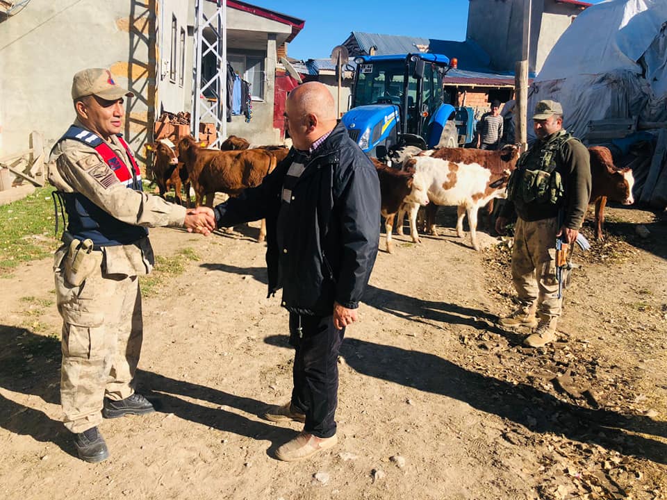 Jandarma Ekipleri, Kayıp Hayvanları Drone İle Buldu 