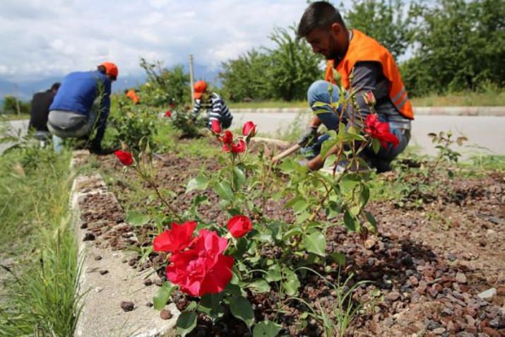 Refüjlerde Temizlik ve Düzenleme Çalışmaları