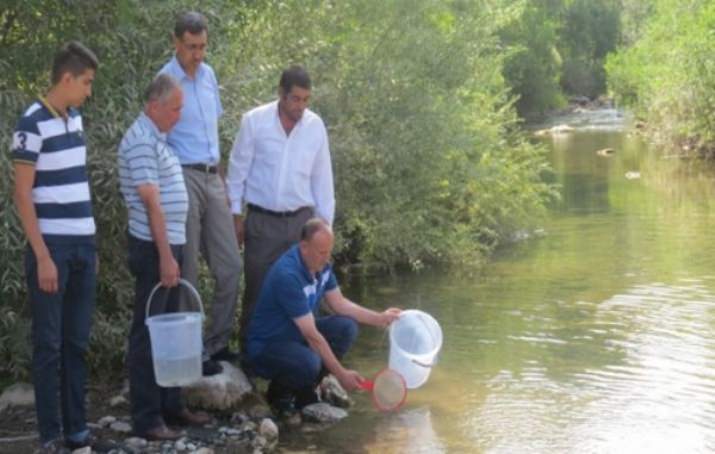 Erzincan'da Yavru Alabalık Salımı Yapıldı