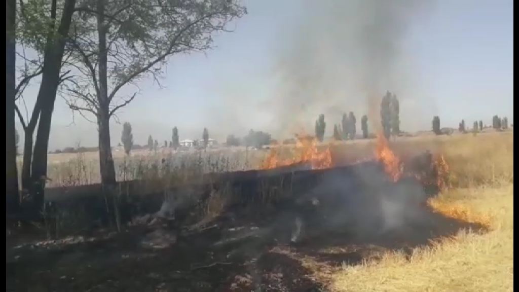 Erzincan’da çıkan anız yangını büyümeden söndürüldü - VİDEO HABER