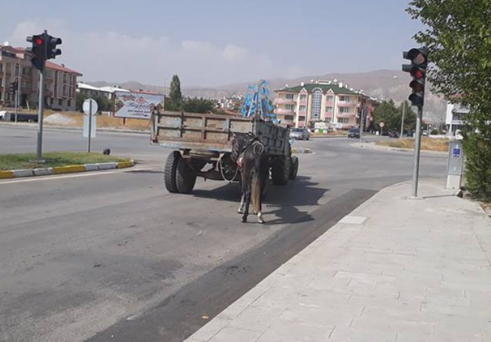 Römorka Bağladığı Atı Kilometrelerce Arkasından Koşturdu-Video Haber