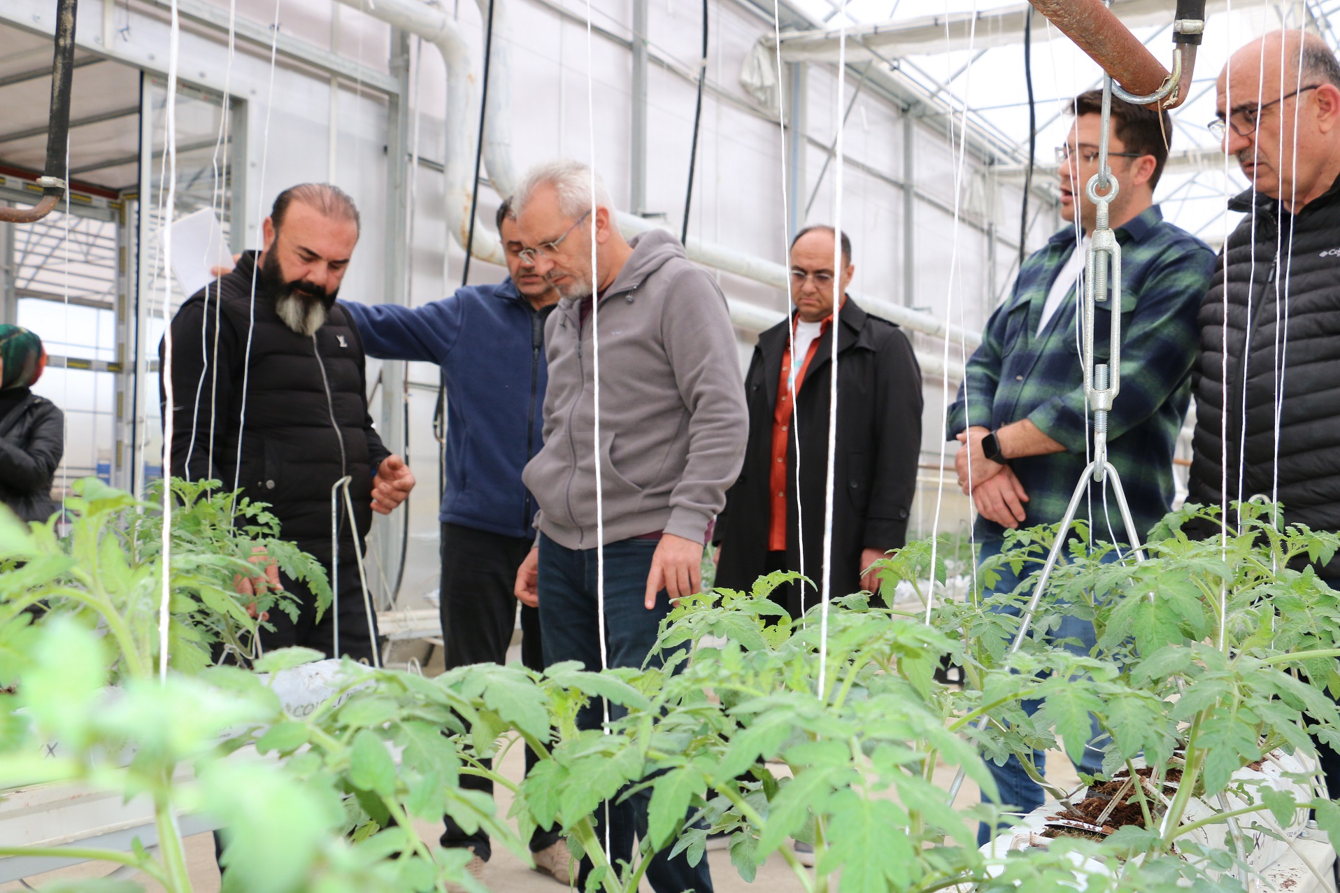 Erzincan’da ilk dönemde 700 ton üretildi