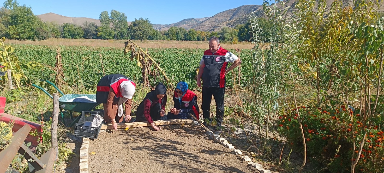 Erzincan’da yeni ürün için ilk yumrular toprakla buluştu
