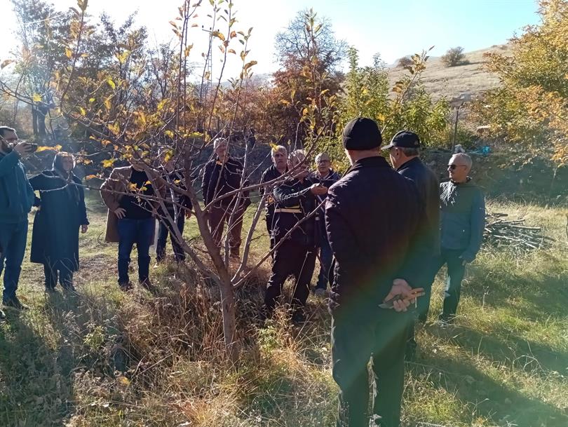 Meyve Ağaçlarında Budamada Dikkat Edilecek Hususlar