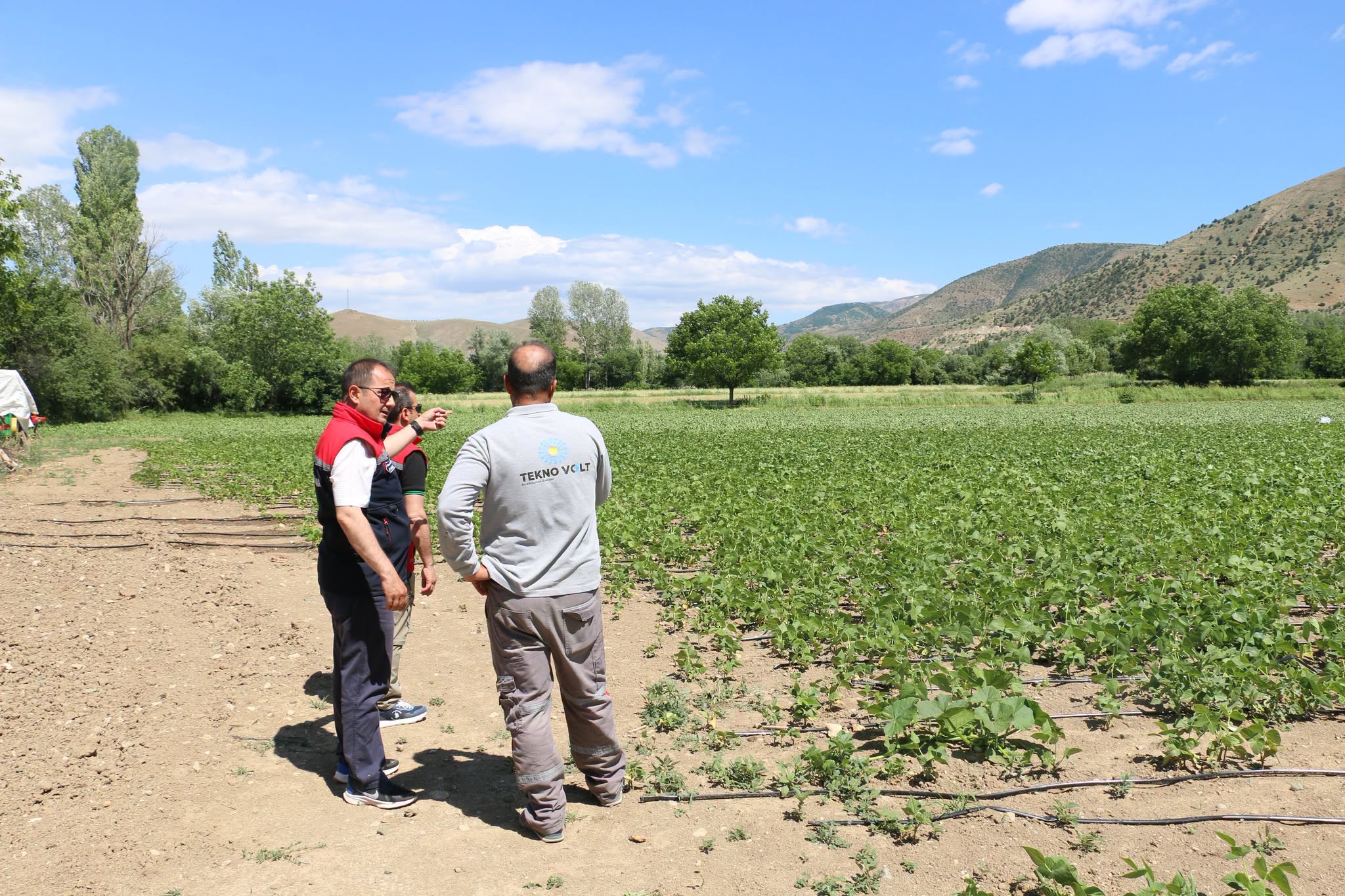 Erzincan’ın Tescilli Lezzeti 