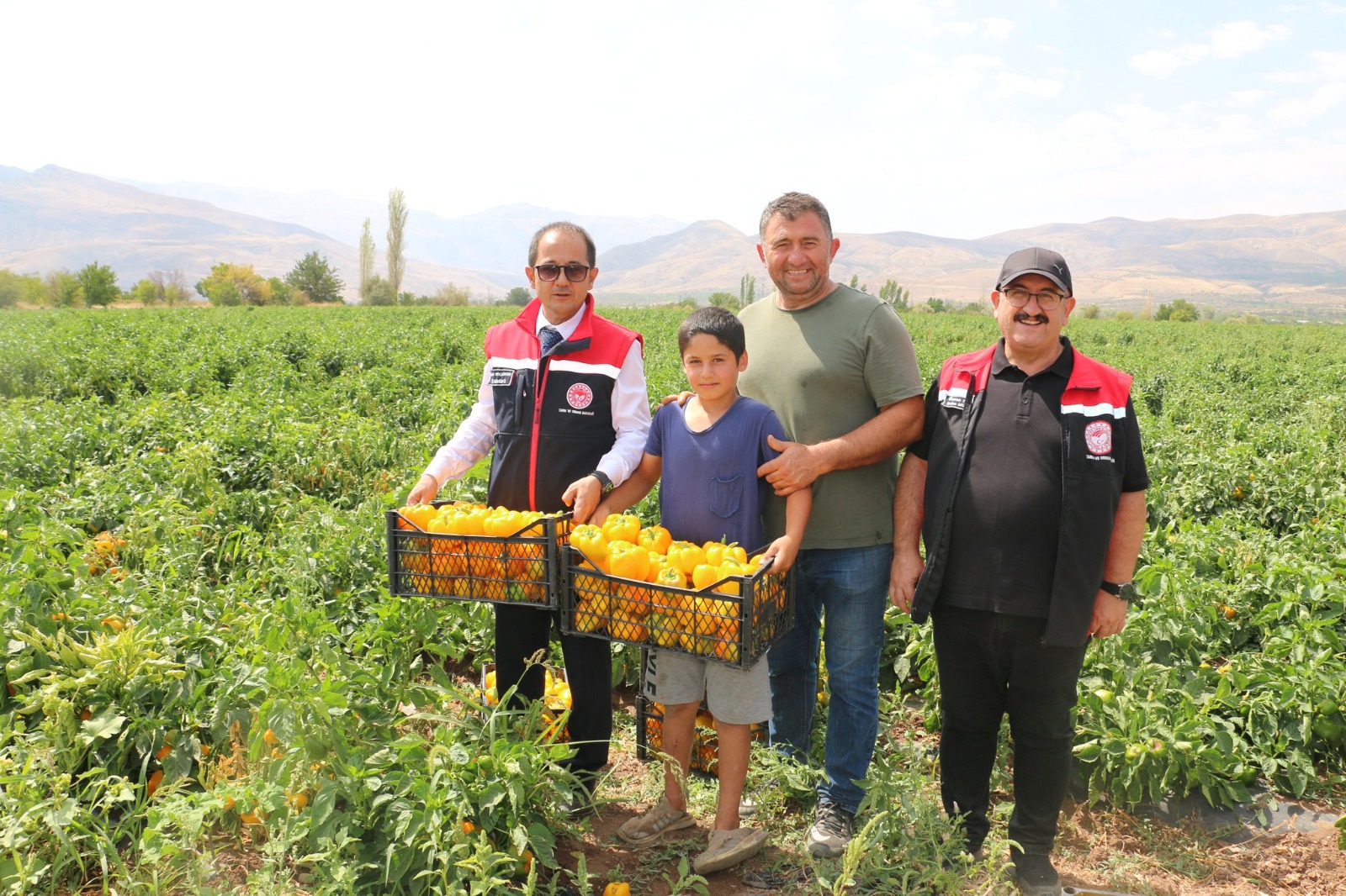 Şili, Kaliforniya, Jalapone… Hepsi Erzincan’da