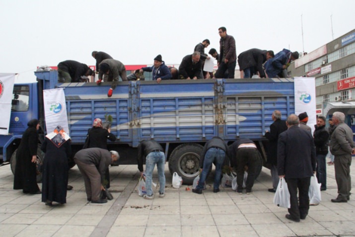 5 Bin Fidan Dağıtıldı